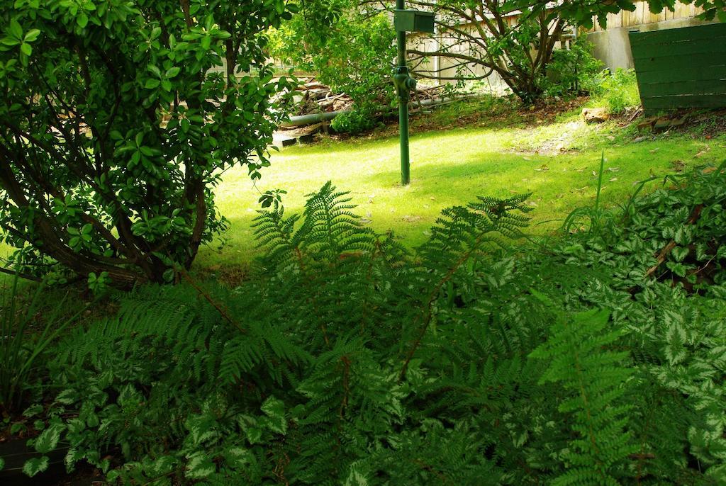 Blackheath Motor Inn Dış mekan fotoğraf